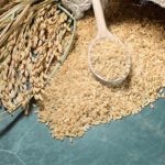 دلایل استفاده از برنج قهوه ای برای بدنسازی