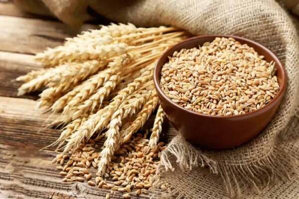 سبوس برنج چه فوایدی دارد؟