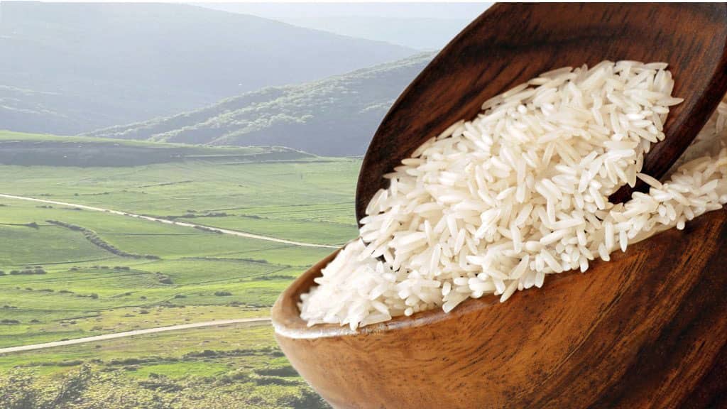 برنج پارس رایس