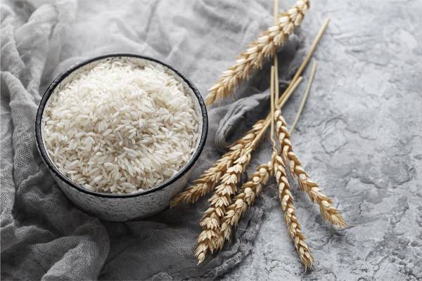 خرید عمده برنج هاشمی