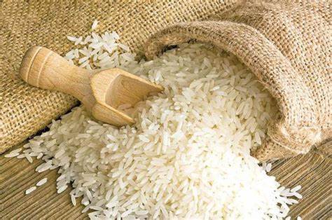 خرید برنج در فردیس