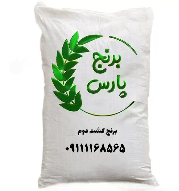 برنج کشت دوم - برنج پارس