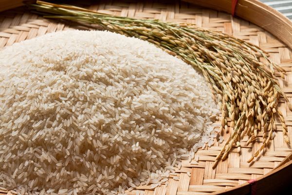 میزان برنج مورد نیاز بر اساس گروه‌های مختلف