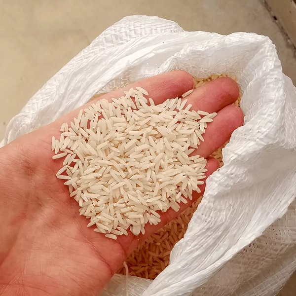 خرید قسطی بهترین برنج عطری ایرانی