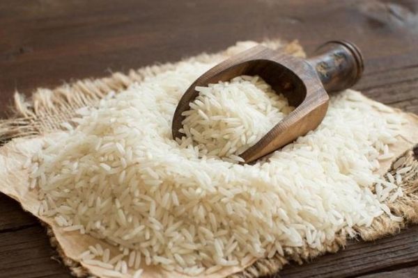 برنج کشت دوم