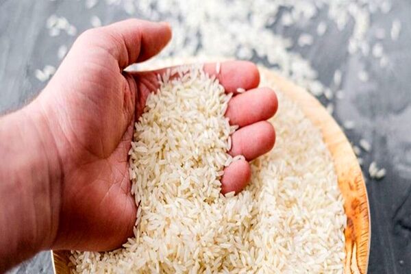 قیمت برنج هاشمی