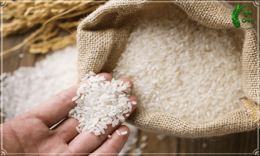 قیمت برنج مازندران امروز چقدره؟!
