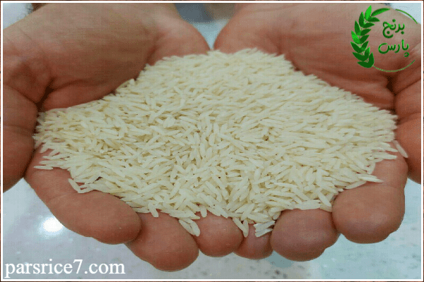 برنج لاشه هاشمی ریز