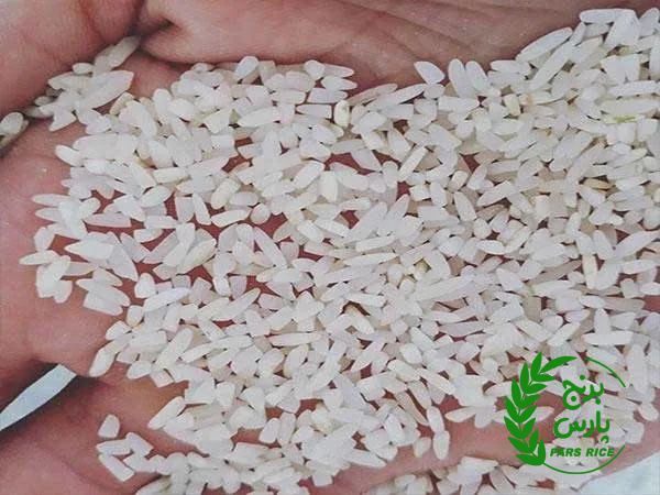 چرا برنج قد نمی‌کشد